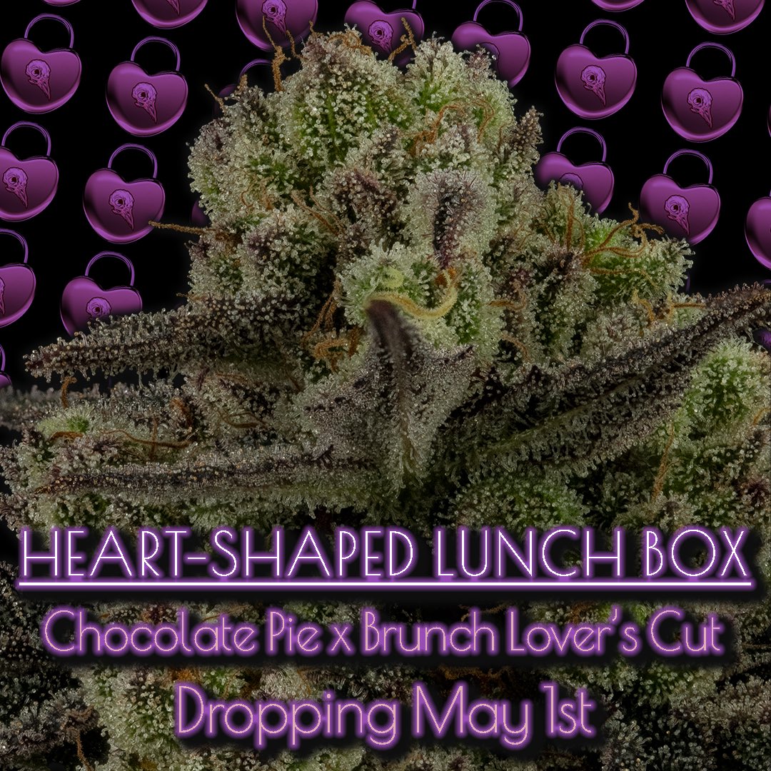 Dirty Bird Genetics - Heart-Shaped Lunch Box❤️🎁 🌱Chocolate Pie x Brunch ‘Lovers Cut’ Tester Available Tomorrow 5/1 Nothing for sale on social media.