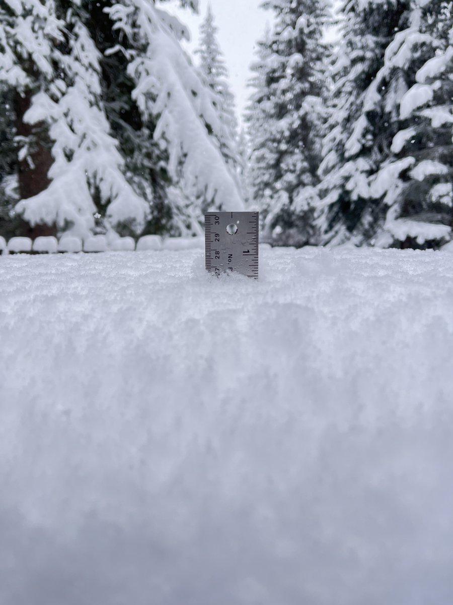 28 cm heavy, wet snow to shovel in Harvie Heights this morning, and it's still snowing #ShareYourWeather #abstorm