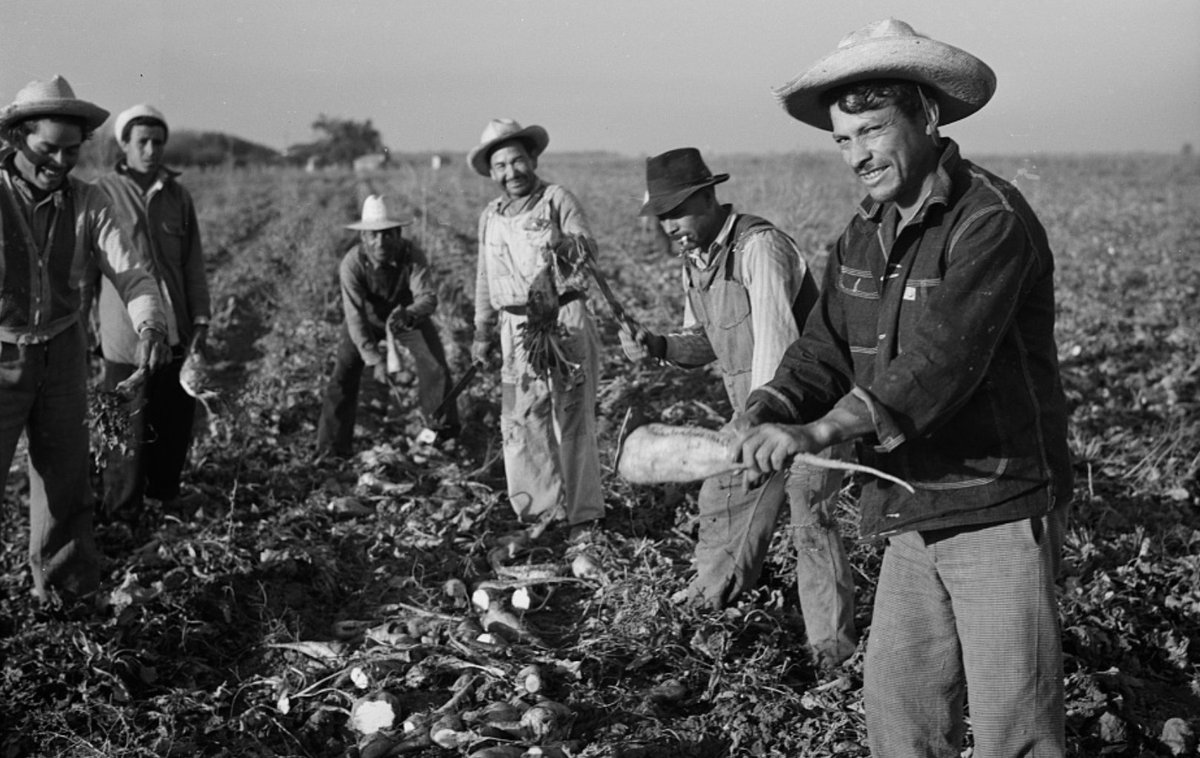 #undíacomohoy en 1943 se aprueba la emigración temporal de seis mil mexicanos, trabajadores no agrícolas, que trabajarían en las vías férreas, la minería y a otras industrias en Estados Unidos, en el marco del Programa Bracero.