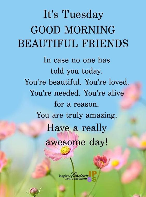 Have a Fantastic and Blessed day Everyone! Take care. Love &amp; Hugs ❤️🤗 <a href="/sheri_lynn95252/">Sheri Lynn</a> <a href="/ElysianSteve/">Steve</a> <a href="/ValentinoAndy77/">Andy</a> <a href="/AnneAnd59185576/">Anne Anderson</a> @AntonCountrySup <a href="/Fancyreba1/">Lynn💃🚖🎶</a> <a href="/ThisIsJimmyStar/">Jimmy Star</a> <a href="/JessieLynnJL/">Jessie Lynn®</a>  And All On This List. 😊
