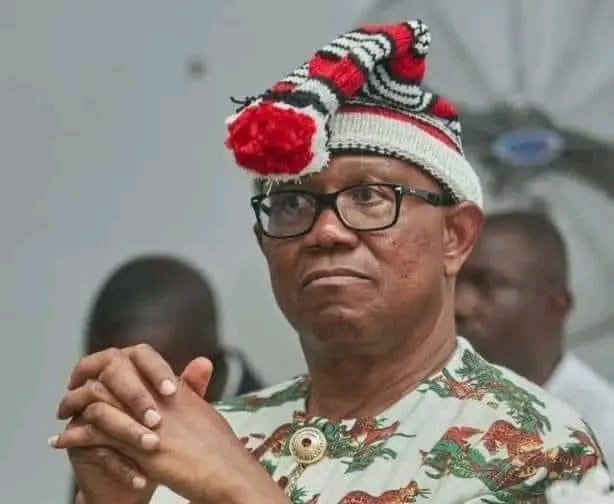 It is not too late to discontinue the Lagos to Calabar Highway project, Obi Nwannem advised Peter Obi gave the president, Bola Ahmed Tinubu advice and asked him to listen to the social media opinions of his supporters.