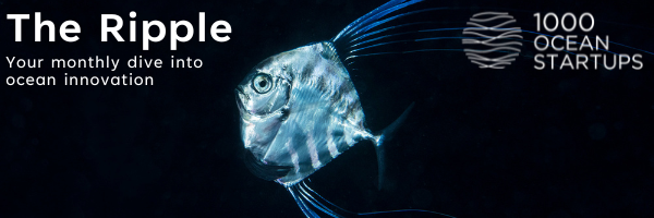 1000OS_org's tweet photo. 🌊📫April’s edition of #TheRipple, the monthly newsletter of 1000OS, is out &amp; in your inboxes!
 
Every month we share news, events and opportunities in the #ocean #innovation ecosystem spanning 1000OS members &amp; beyond.

📰 Read the latest edition here: https://t.co/ocxEWh7jVi https://t.co/s2psYTPfUK