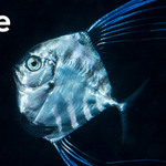 Photo by 1000 Ocean Startups (@1000OS_org)