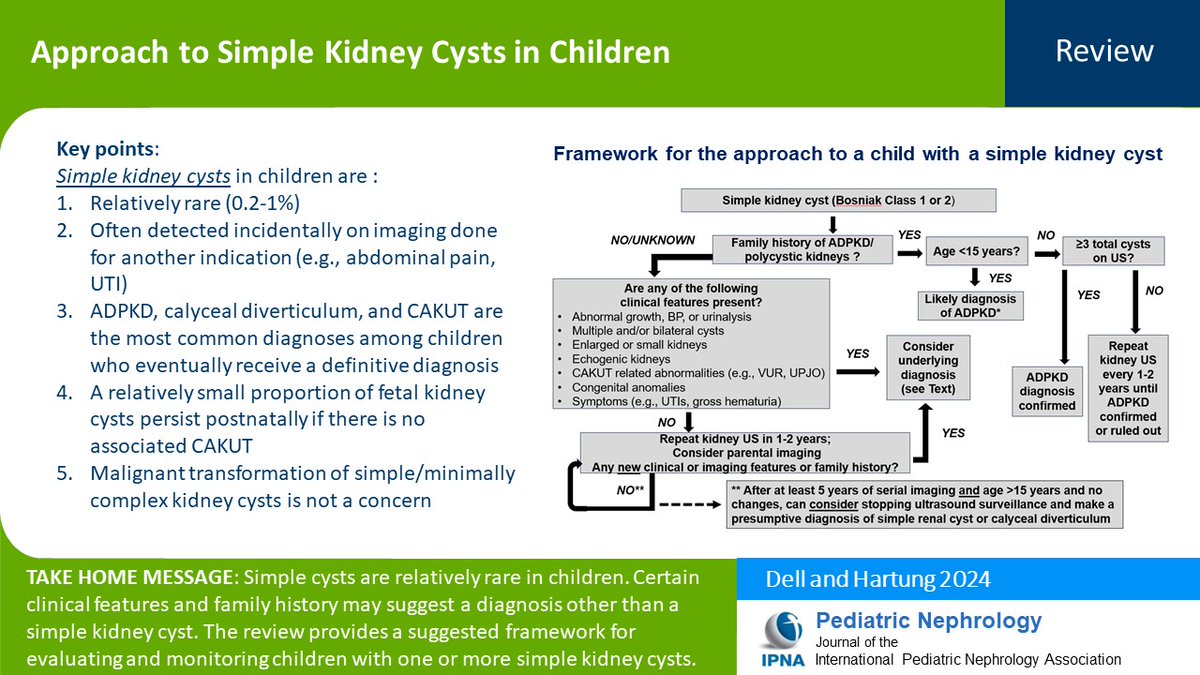 Finding a simple kidney cyst in a child can pose a diagnostic & management challenge for pediatric nephrologists, urologists, & primary care providers. Read this Review of simple kidney cysts, diagnoses other than a simple kidney cyst, & more. #OpenAccess link.springer.com/article/10.100…