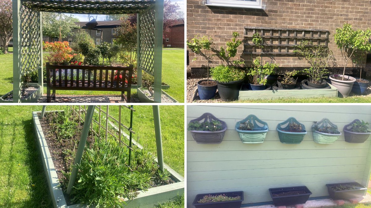 Marking the last day of National Gardening Week from the @the_RHS here we have some of the areas our resident, Ronnie, tends to at Mason Court. Great job, Ronnie, thank you! #NationalGardeningWeek #NationalGardeningWeek2024