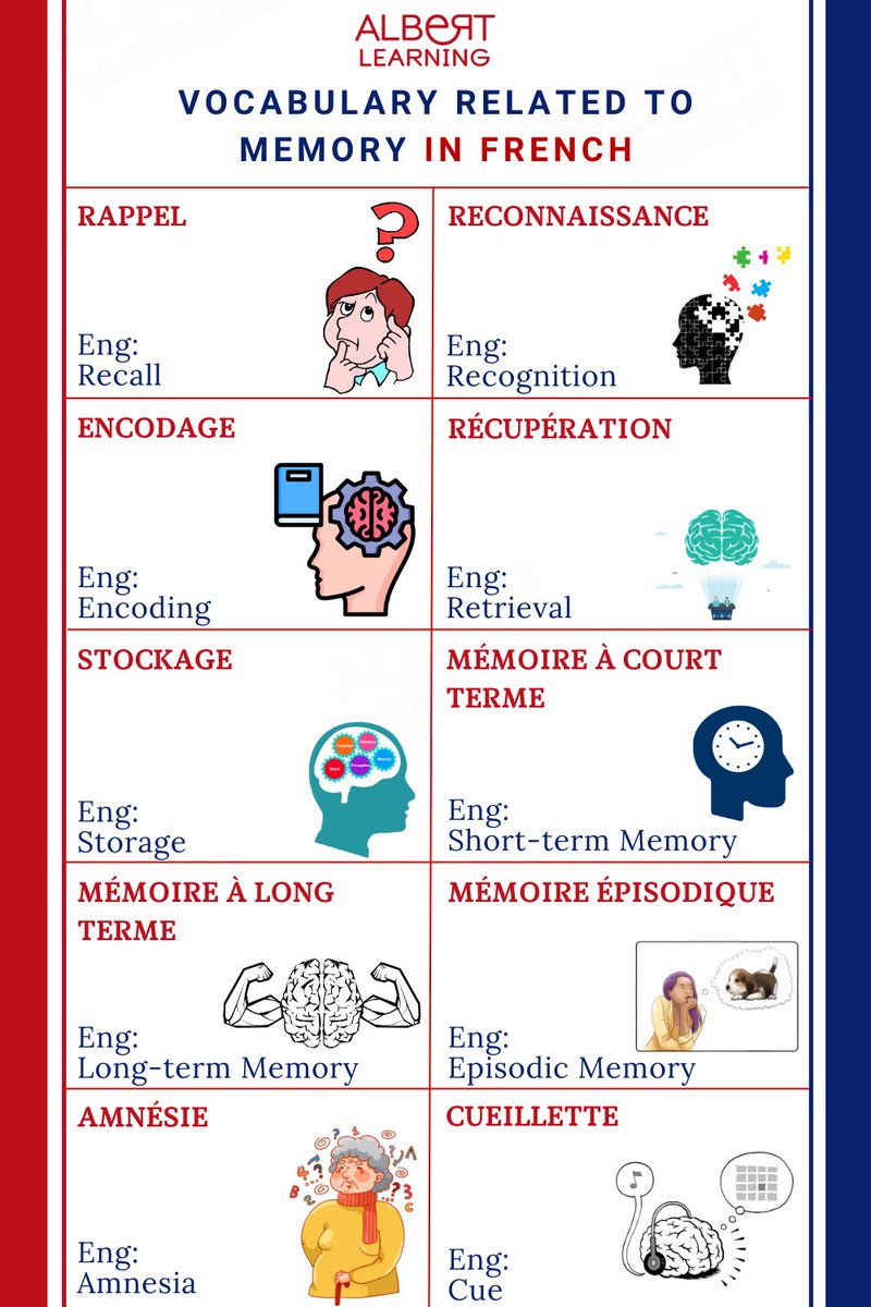 Let's delve into memory-related vocabulary in French, offering insights into how we remember and recall information. To know more, book a lesson with the teachers of Albert-Learning now! albert-learning.com/?campaign=FBgr… #français #learnfrench #frenchlanguage