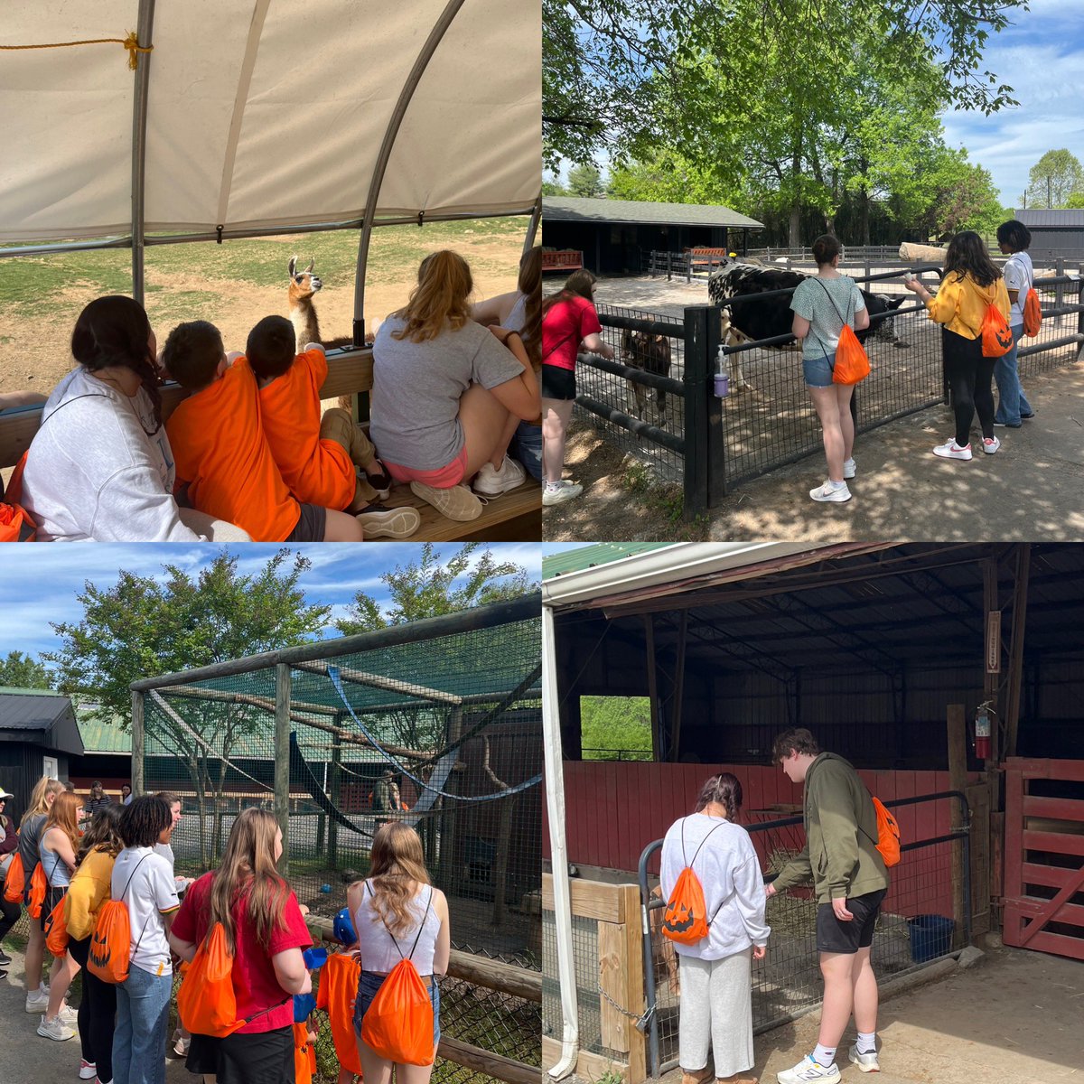 The Early Childhood program took the Munchkins to the Reston Zoo today. All of the students learned about nature and had a chance to feed the animals.
