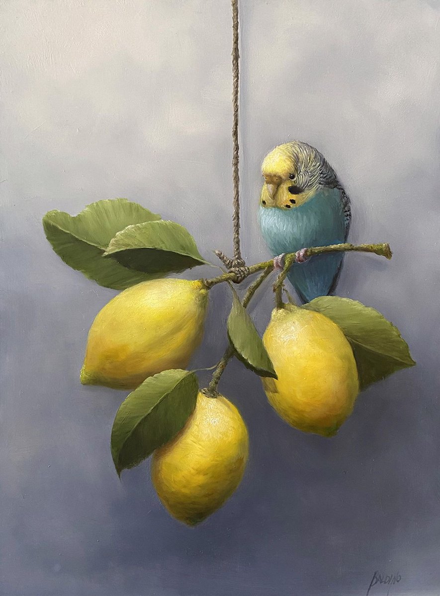 Budgie with Lemons  
Patt Baldino
From Susan Powell Fine Art 
I do like Budgerigars.   Dr S had them from Woolworths when he was little.   Yes Woolworths had a pet section in the 1950s