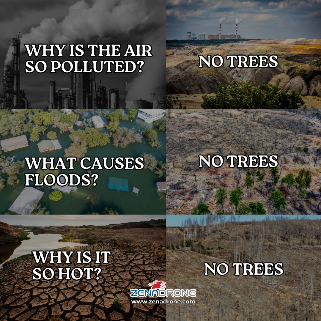 Deforestation has become a dire situation that affects not only humans but also destroys the natural habitats for plants and animals. We must act now!

#climatechange #globalwarming #deforestration #Zenadrone #commercialdrones #smartdrones #dronetechnology