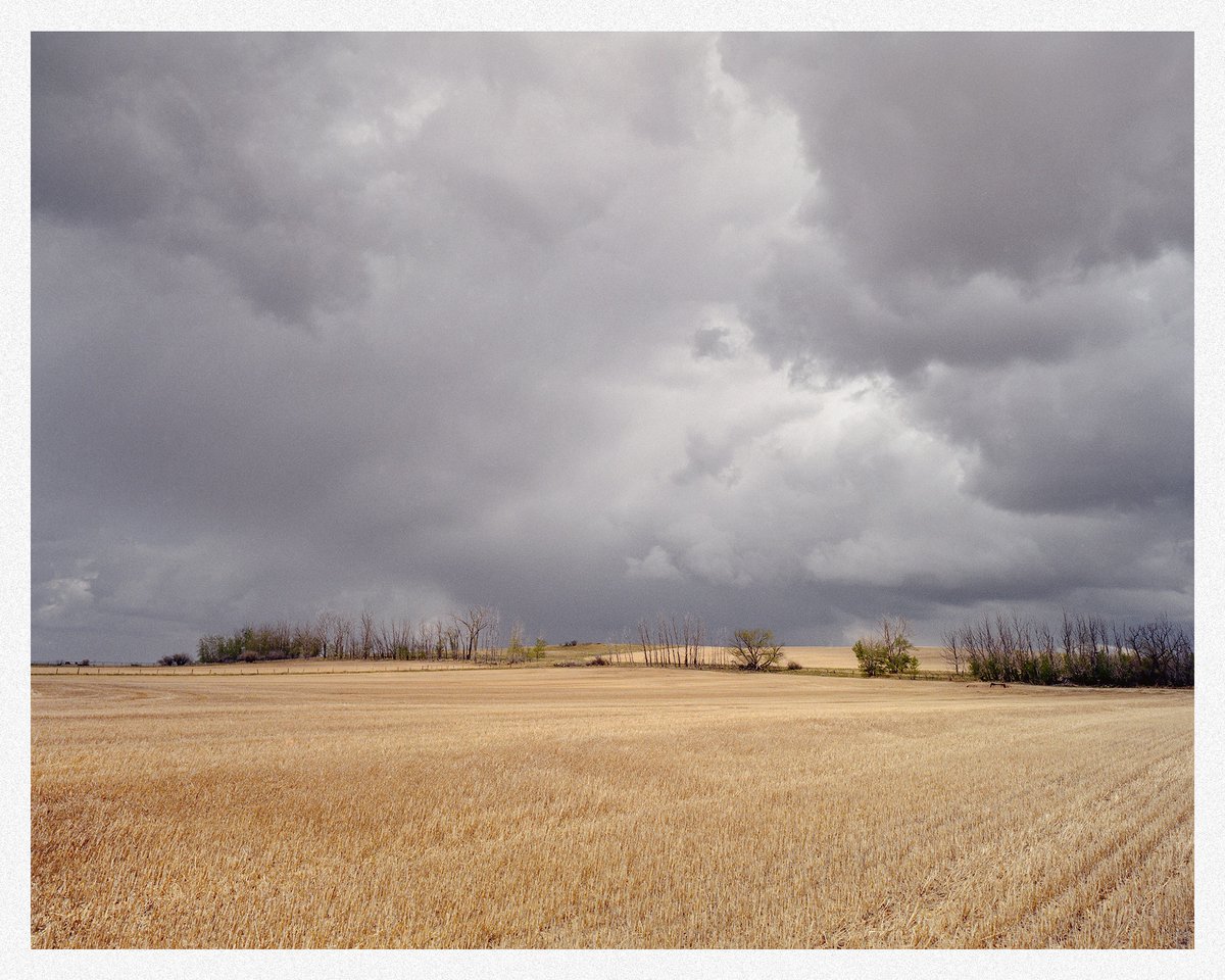 Alberta skies.

📷 Mamiya 7
📷 Kodak Gold 200

#filmphotography #noticemag #alberta #believeinfilm #landscapephotography