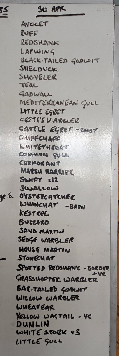 Huge excitement during the middle of the afternoon as 3 White Storks were seen drifting over the reserve towards Puddington. They were also seen last week, so it's worth keeping an eye to the skies! 7 Spotted Redshank, 1 Whinchat & a Little Gull were also seen across the reserve.