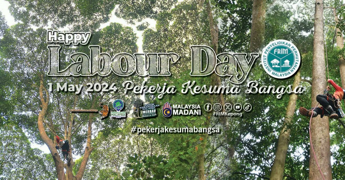 Selamat Menyambut #HariPekerja kepada semua pekerja di seluruh #Malaysia. “Pekerja Kesuma Bangsa” Ikhlas daripada warga @FRIMKepong #SelamatHariPekerja2024 #LabourDay #labourday2024 #PekerjaKesumaBangsa