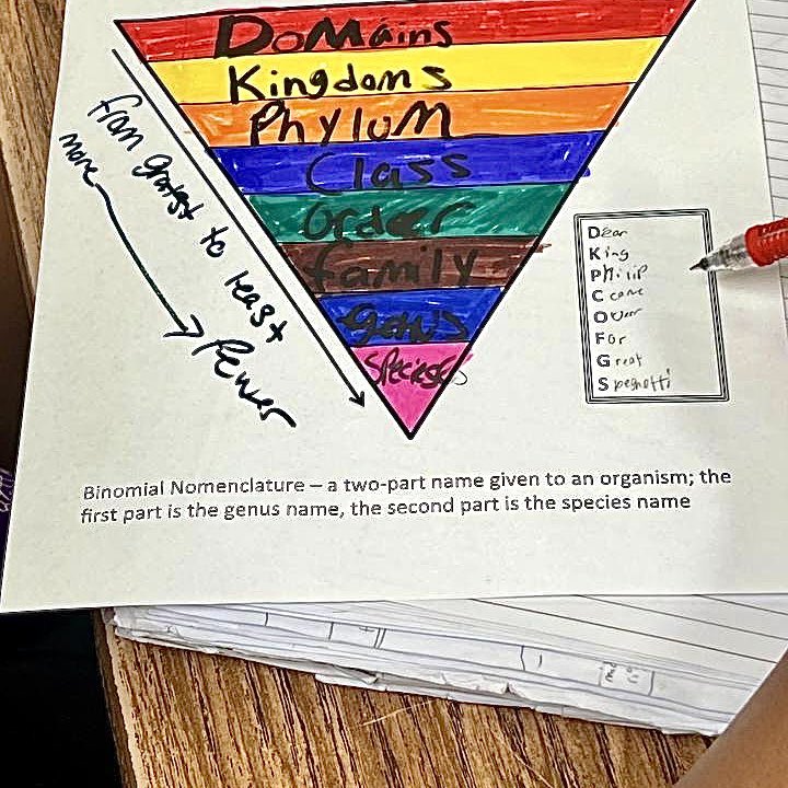 6th Science with Ms. Nuňez working on their classification of living things and creating their own mnemonics

#TeamECISD #HornedFrogStrong #BowieMSOdessa #HighExpectations #Opportunity #StrongInstruction #BowieMSScienceMatters