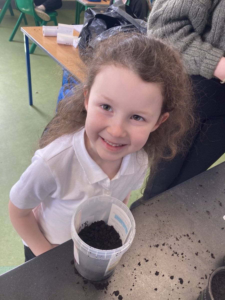 Planting Seeds 🌱🫛🥗🌻Children planted some peas, salad leaves, cress, sunflower seeds and french beans with the SuperValu Let’s Grow resource pack 🤗