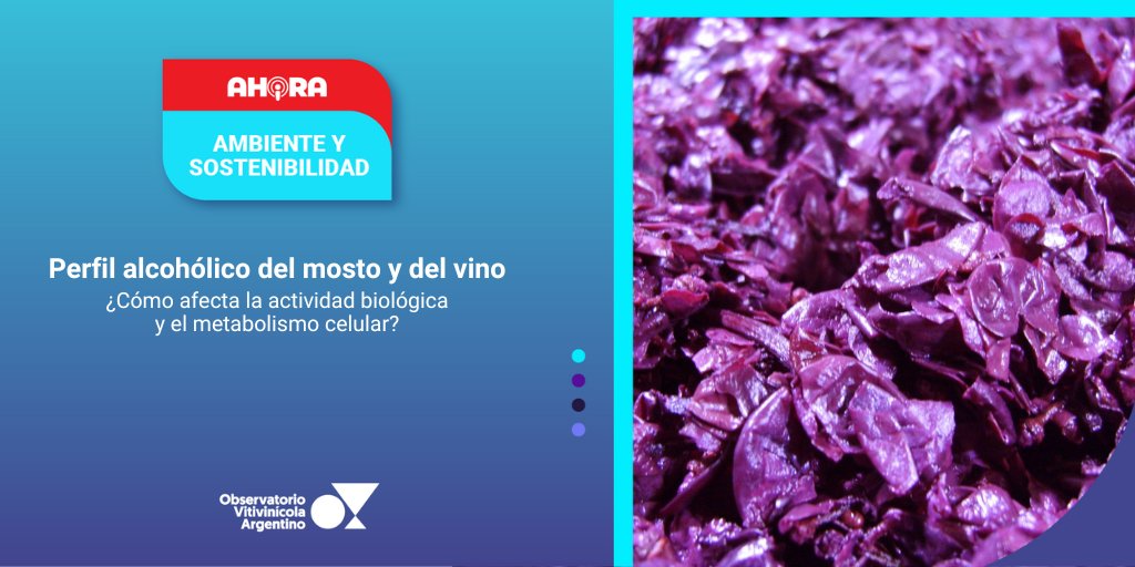 🔴 AHORA⎥ AMBIENTE Y SOSTENIBILIDAD
PERFIL ALCOHÓLICO DEL MOSTO Y DEL VINO
observatoriova.com/ahora/perfil-a…
Conocé todas nuestras alertas en 👉🏼 observatoriova.com/ahora/
#AhoraOVA #AmbienteySostenibilidad #Mosto #Vino