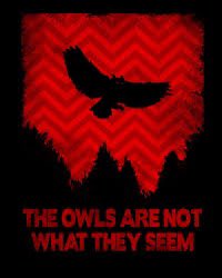 CryptoLoren's tweet photo. #MarkHall #TwinPeaks #Mothman #BigHoot @CryptoLoren @SecretSunBlog @BrandonFugal @SWRanchOfficial https://t.co/j7yczS4Ccb