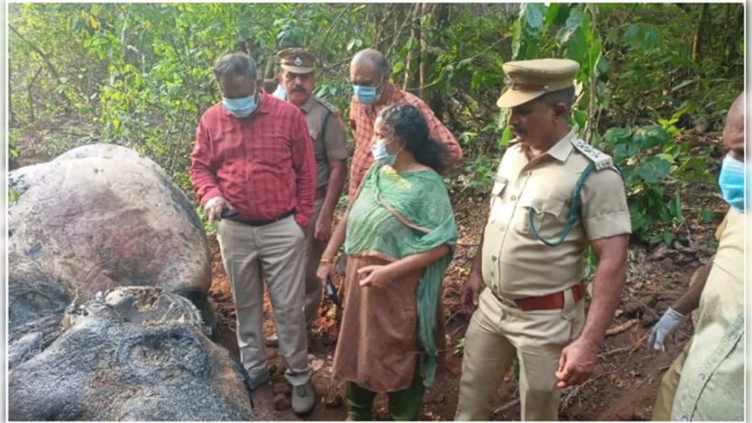 It is painful that an elephant died of thirst in the Kollam forest landscape(kerala).PM report says it had not had water for 10 days.@moefcc @byadavbjp @rameshpandeyifs @pinarayivijayan @AshwiniKChoubey @Manekagandhibjp @AwbiBallabhgarh @saseendran_ak @ForestKerala @narendramodi