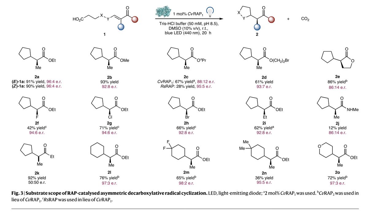 EnzymeChemistry tweet picture