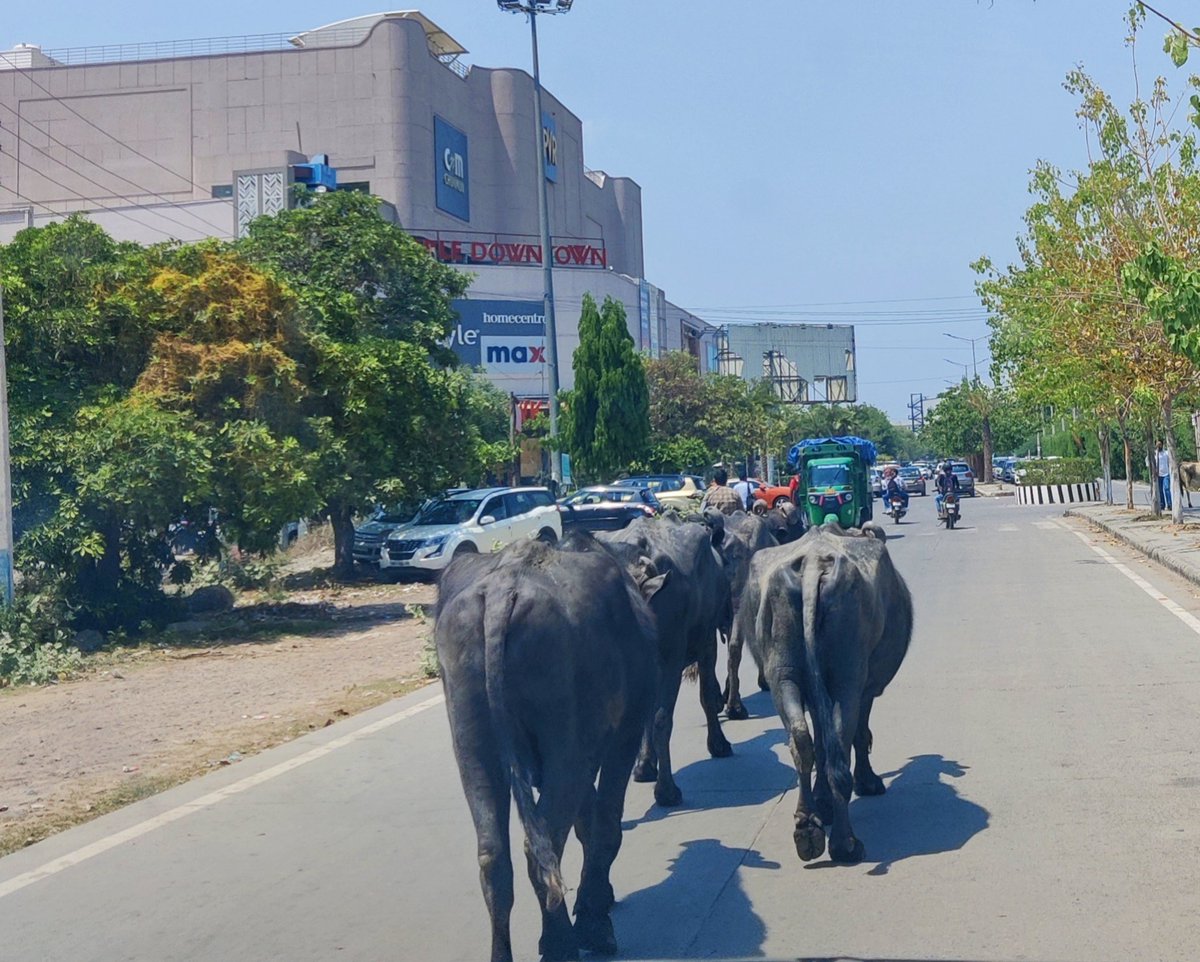 #Smartcityfaridabad  में आपका स्वागत है....