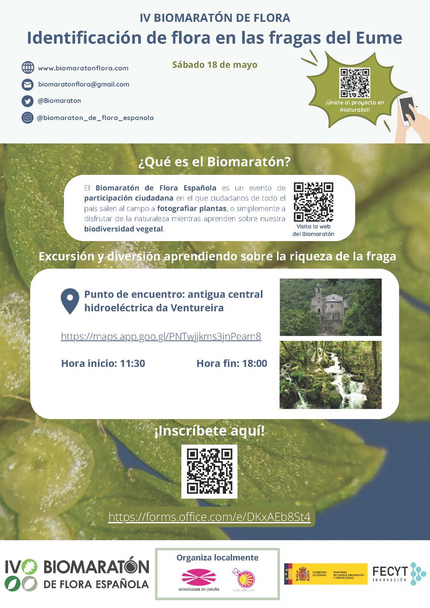 Xa podes apuntarte á saída ás Fragas do Eume @biomaraton de flora española 2024 18 de maio ás 11,30h Hai bus desde Ferrol e A Coruña (prazas limitadas) Tamén podes achegarte pola túa conta