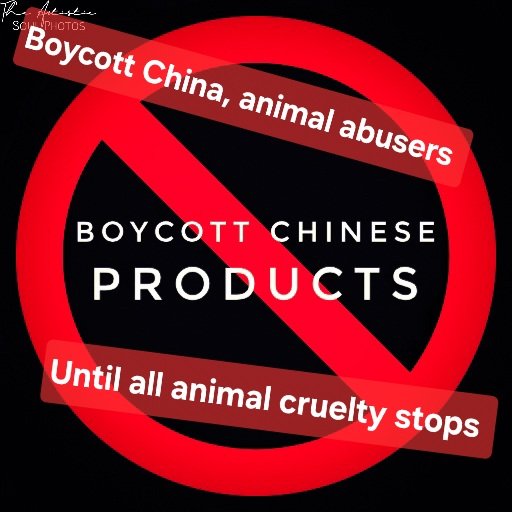 This tells you all you need to know about #China.  It truly is a #shithole of a country. It couldn't be anything else with citizens like these pieces of excrement.
#ExtremeAnimalCruelty 
#CatAbusersChina 
#BoycottChina 
#BoycottMadeInChina