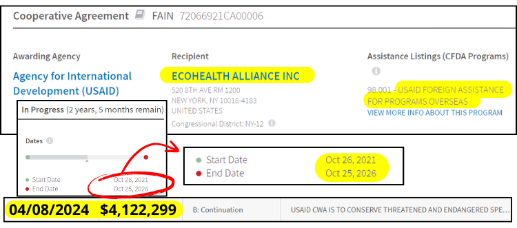 We just exposed that on 4/8/24 @USAID doled out another $4.1M to EcoHealth on top of the money it paid them for the experiments in Wuhan that likely caused COVID. @PowerUSAID on 4/10/24 to @SenRandPaul: 'Umm, Eco who?' 🤔🧐