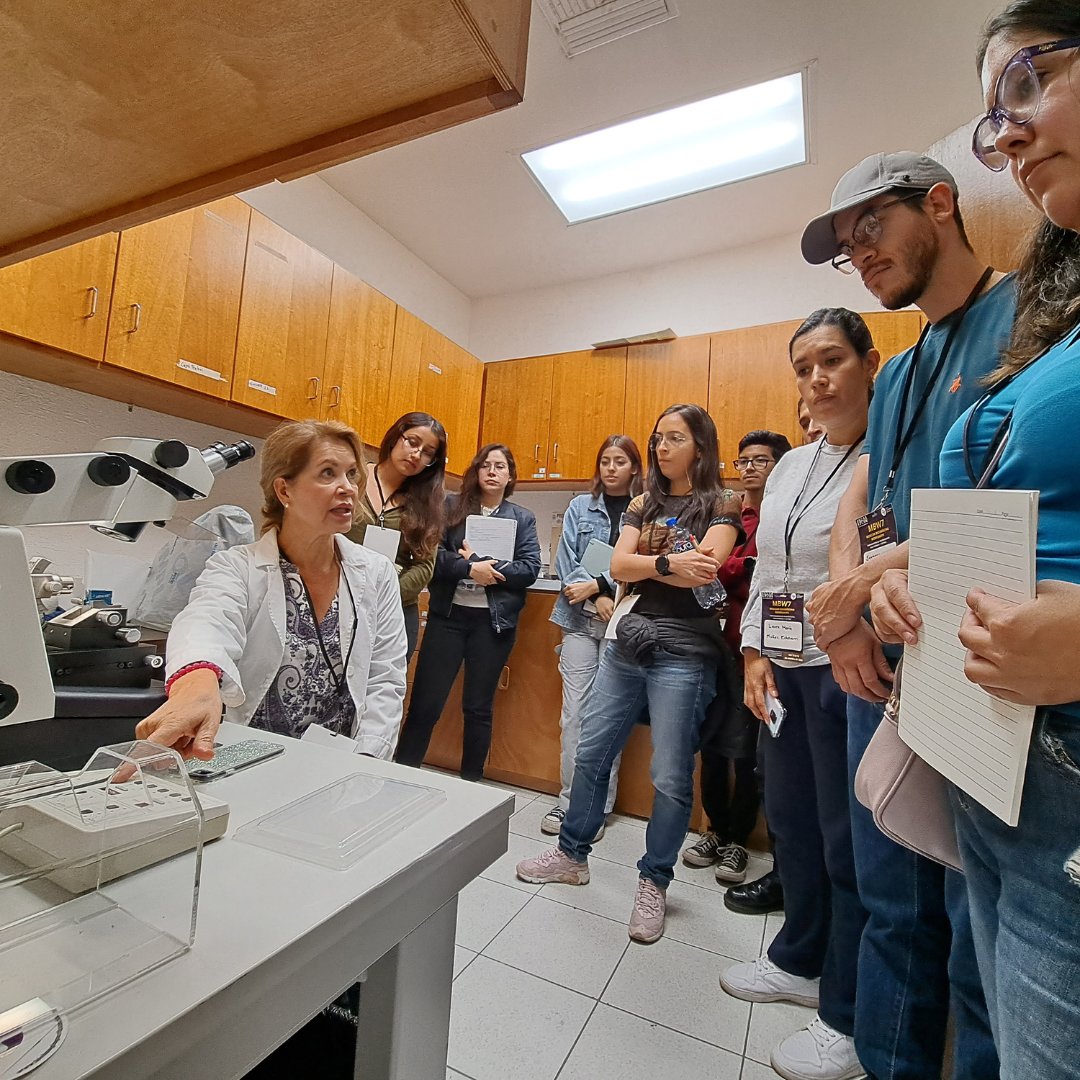 Never before have so many opportunities existed for training, capacity building, collaboration & career development in bioimaging. @Mx_BioImagen is #ImagingTheFuture by expanding access to bioimaging in Mexico