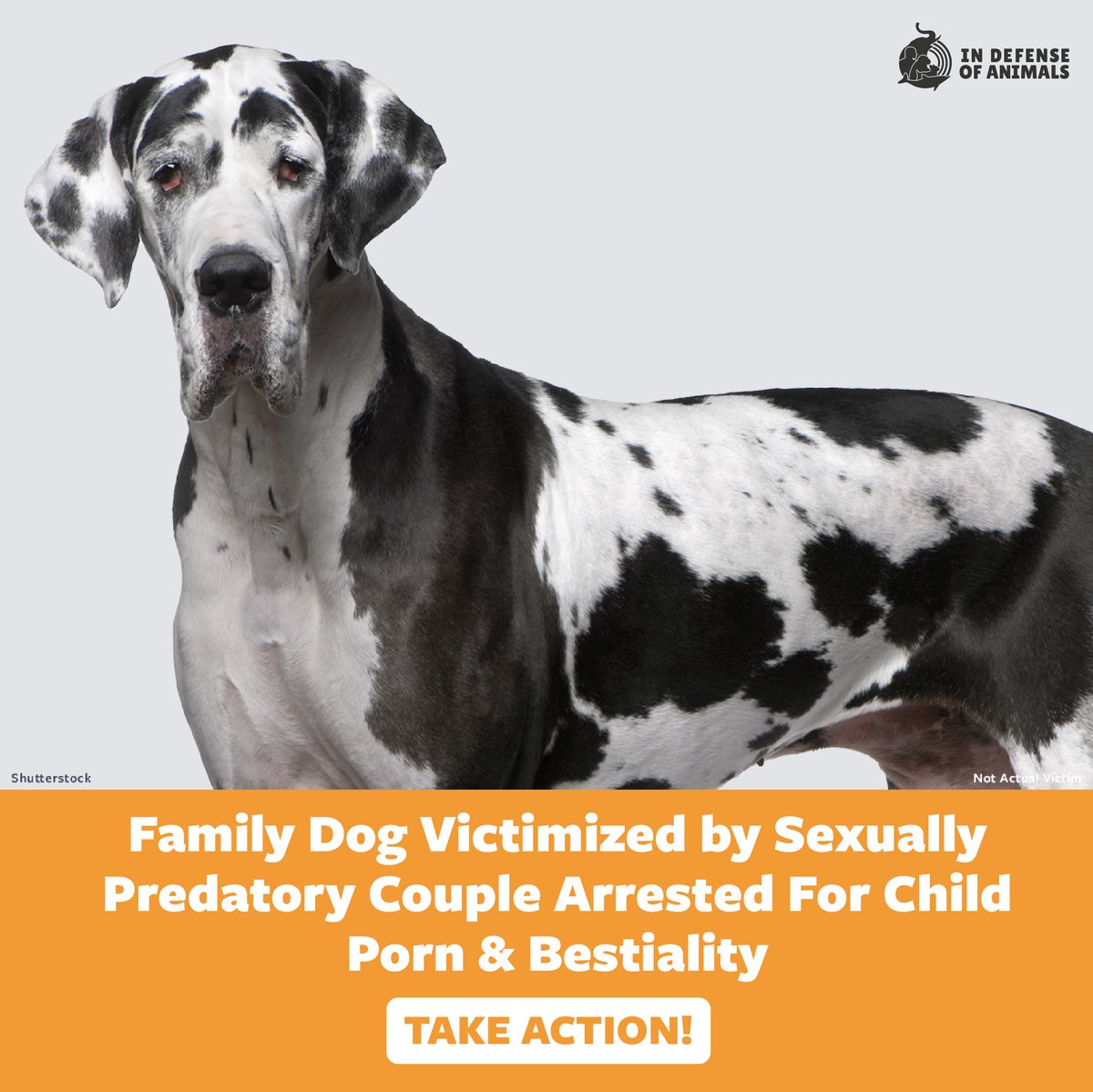 Demand maximum sentencing for a #Texas couple arrested for #bestiality with family dog & having child porn. Take action: bit.ly/3WiFxui Pls RT and support our work: bit.ly/3JAm6pd #Justice4Animals