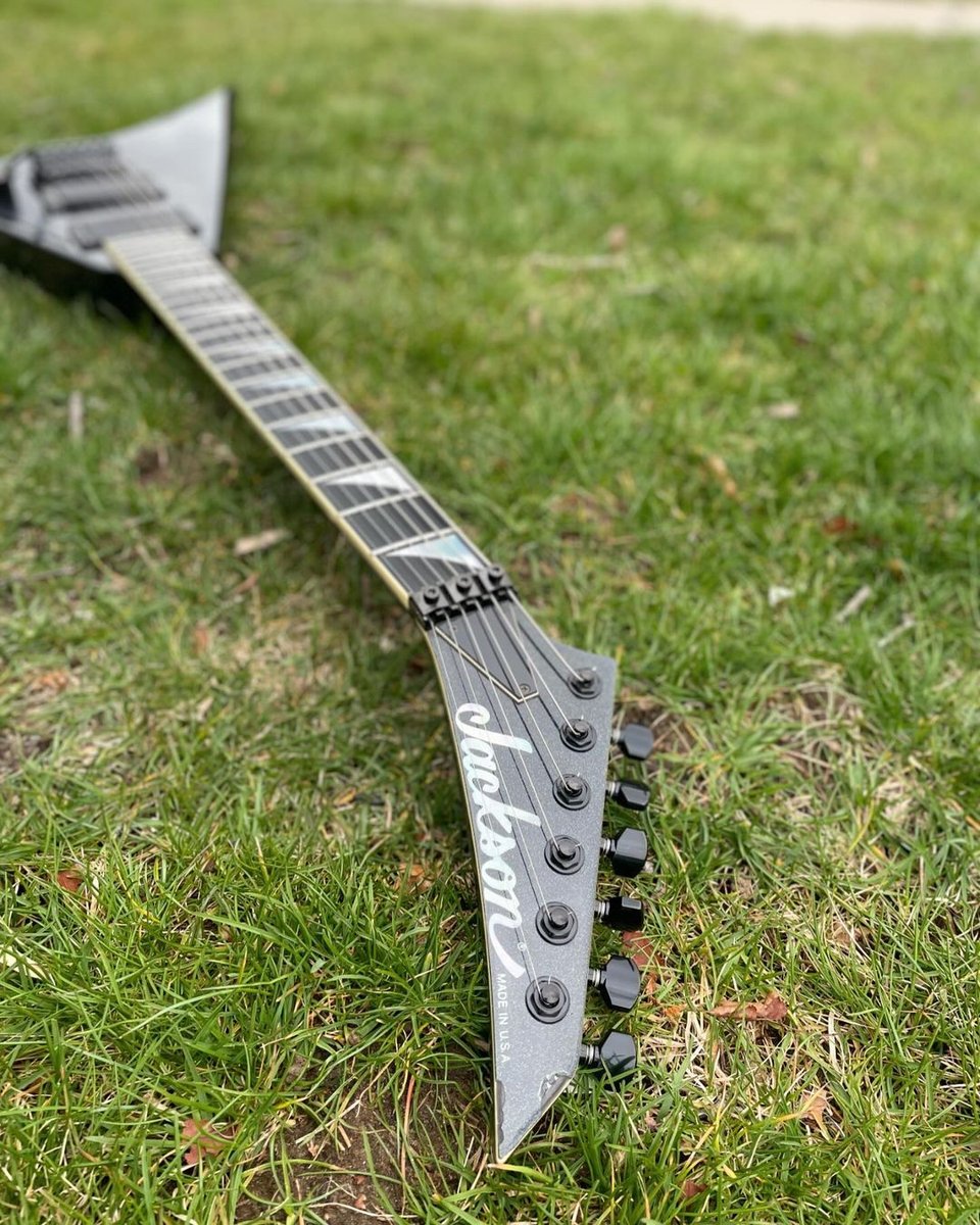 Check out this stunning Rhoads from Erik Fernandez. What are you playing on this? Tag us using #ItsInMyBlood for a chance to be featured next!