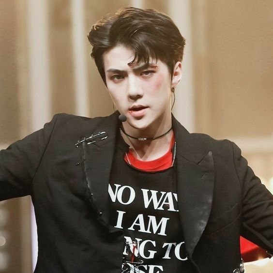 Monster era🖤🔥
#EXO #SEHUN #세훈