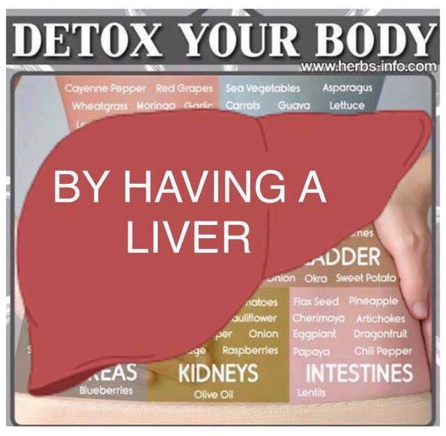 ❌Myth❌: going on a detox diet to eliminate toxins is essential ✅REALITY: our liver detoxes our body every single day! Save your money💳 & avoid falling for marketing schemes and lies. Your liver & kidneys work together to maintain homeostasis no matter what garbage drink a 🤡…
