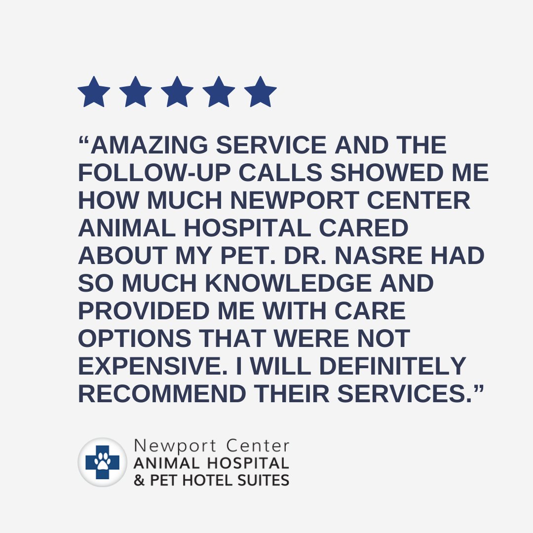 Thank you for offering your recommendation and for your feedback!💙🐾

#testimonialtuesday #testimonial #fivestars #googlereviews #veterinarian #animalhospital #coronadelmar #newportbeach #balboaisland #veterinary #veterinaryhospital