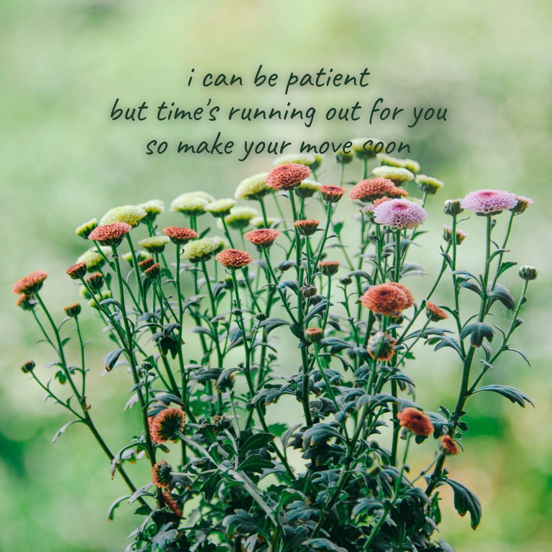 i can be patient
but time's running out for you
so make your move soon

Image by Phan Minh Cuong An (buff.ly/3QhwNkd) from Pixabay

#dailyhaiku #dailypoem #haiku #madewithpixabay #poem #poetry #poetrycommunity #sglit #sgpoetry #singlit #writer #writing #writingcommunity