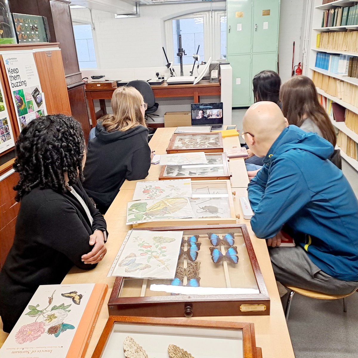 Wonderful 3rd 'Metamorphosis' workshop with Curator of Entomology, Diana Arzuza Buelvas @McrMuseum, artist Tania Kovats @TKOceans, Curator Mala Yamey @MalaYamey @Invisible_Dust & MA students @UoMSALC @UoMICP. Project @WOWisGlobal & @factoryintl: invisibledust.com/projects/unnat… #MOONMOTH