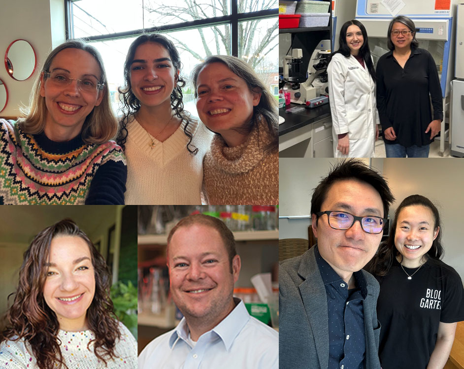 🎉#JI_TopRead ➡️ This study by Read &amp; Amici et al. <a href="/OestreichLab/">The Oestreich Lab</a> identifies methyltransferases involved in Tfh cell differentiation &amp; links the role of IL2. #ReadTheJI #immunology ow.ly/Ornk50RpAoj