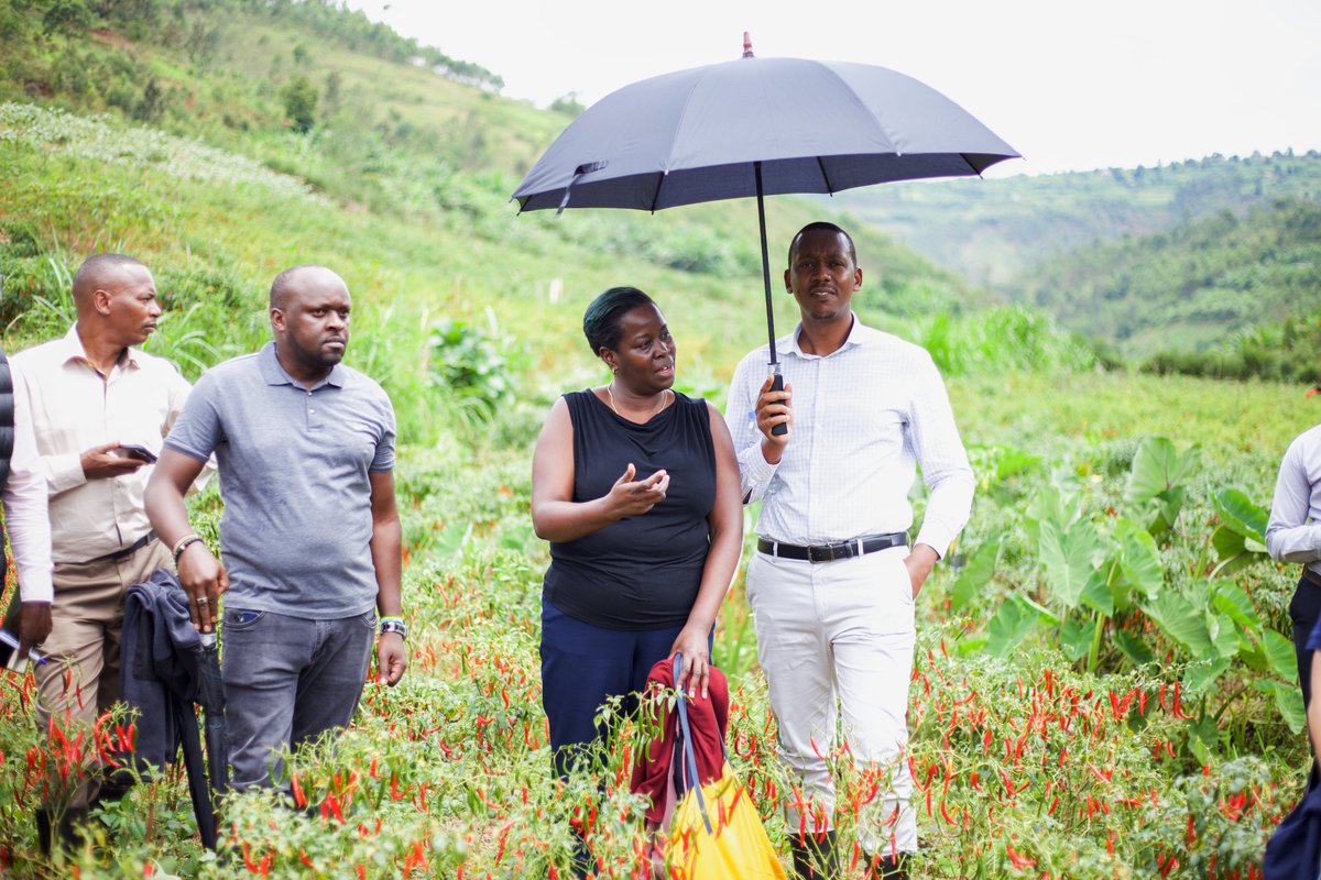 careinrwanda's tweet photo. Today, @careinrwanda welcomed Ms. Rosemary Nduhiu, Executive Director, Country Programs at @MastercardFdn, for a joint field visit. Together w/Mastercard Foundation &amp; CARE Rwanda's country directors, they visited TWITEZIMBERE  group from @rulindodistrict https://t.co/cPflDeYxJO