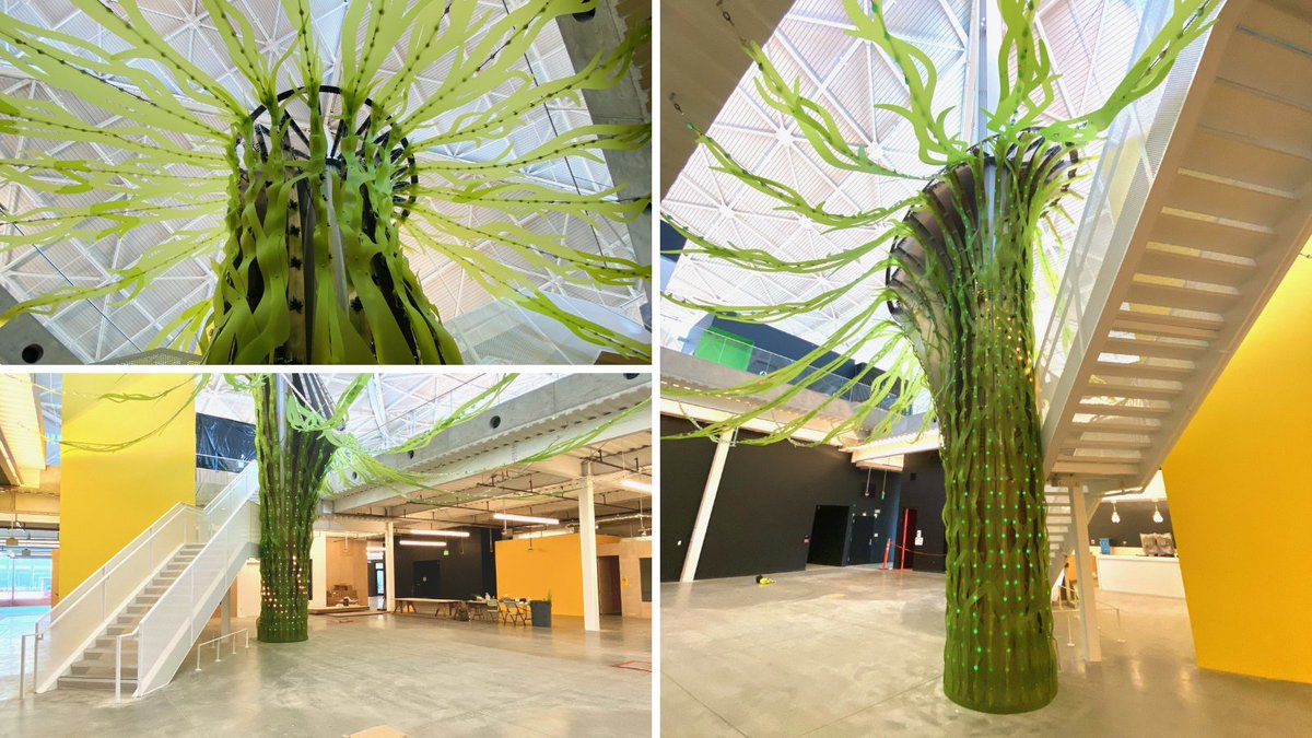 CODAworx (@codaworx) on Twitter photo “Hyphae” by <a href="/artcontraptions/">James Peterson</a> is an abstraction of a great oak tree & inspired by mycelium networks installed in a new Google campus. Made from specialized eco-resin & utilizes a unique engineering method it span nearly 2 floors. View on CODAworx: codaworx.com/projects/hyphae “Hyphae” by <a href="/artcontraptions/">James Peterson</a> is an abstraction of a great oak tree & inspired by mycelium networks installed in a new Google campus. Made from specialized eco-resin & utilizes a unique engineering method it span nearly 2 floors. View on CODAworx: codaworx.com/projects/hyphae