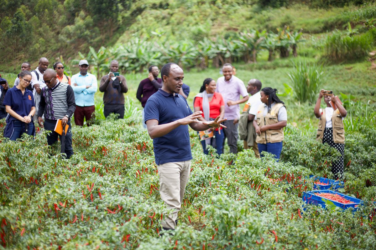 careinrwanda's tweet photo. Today, @careinrwanda welcomed Ms. Rosemary Nduhiu, Executive Director, Country Programs at @MastercardFdn, for a joint field visit. Together w/Mastercard Foundation &amp; CARE Rwanda's country directors, they visited TWITEZIMBERE  group from @rulindodistrict https://t.co/cPflDeYxJO
