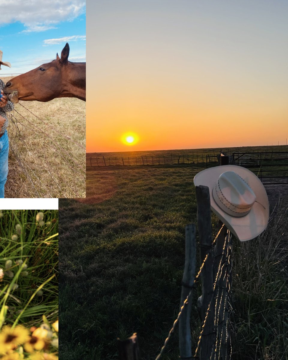 When the farm is filled with friendly faces, it's hard to have a bad day. #ruralcharm #fourleggedfriends #theatwoodsway