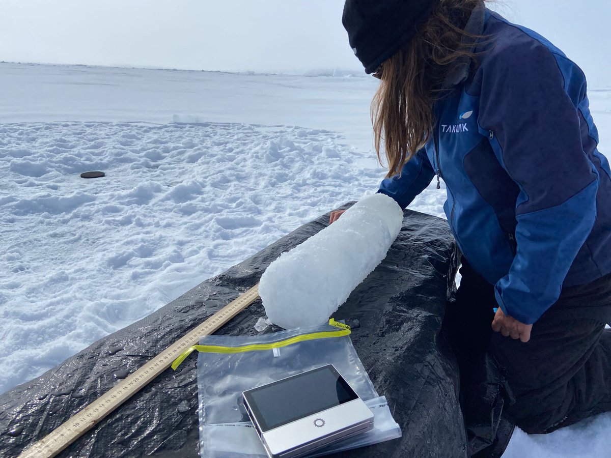The Acinas Lab's (📷) goal is explore the #microbes that live within the Arctic #Qikiqtarjuaq. They've recovered 26 #metagenomes using the portable MinION device — providing a new insight into this unique microbiome. Keep up to date here: bit.ly/4aSP672