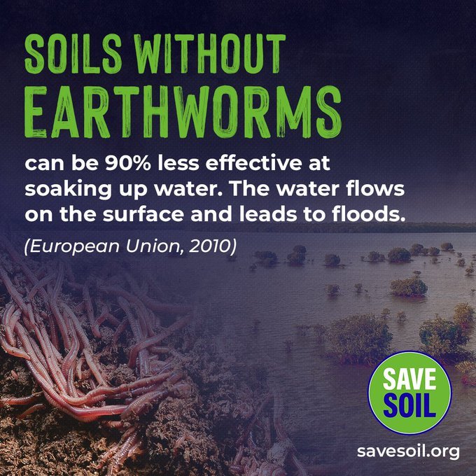 Healthy soil is the greatest water reservoir of water.
#SaveSoil 
#ConsciousPlanet 
@cpsavesoil