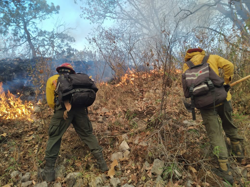 #Actualizacion Continúa atención de #IncendioForestal en el paraje La Floresta del Colli, #Zapopan, en el #ANP Bosque La Primavera. Combaten 86 bomberas y bomberos forestales de @SemadetJal, @PCJalisco, @UMPCyBZ y @BosquePrimavera, con apoyo de equipos aéreos #Witari y #Tlaloc.