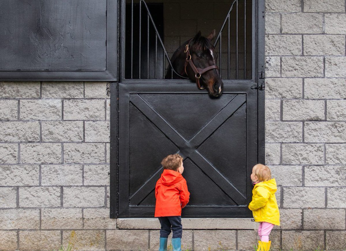 Are you planning a visit to Kentucky? Visit Horse Country is a not-for-profit organization offering informative tours of Kentucky's equine industry. Sounds like fun! buff.ly/3whmQfS #Kentucky #horselover #equine #equineindustry #horseracing