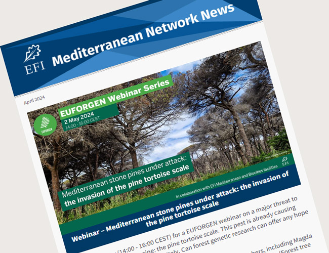 🌳#EFIMED's April newsletter is now out! The top story is the upcoming webinar on #Mediterranean stone pines hosted in collaboration with @EUFORGEN! 📨Plus, you'll find new stories about projects, upcoming events, and open calls! Enjoy reading! us1.campaign-archive.com/?u=27e0e39f13b…