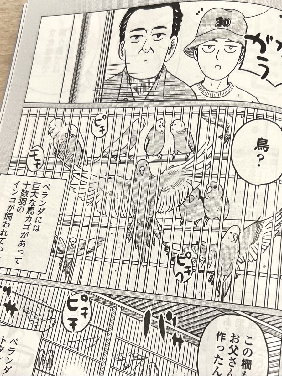 現在発売中の小説幻冬5月号に私の父親についての暗黒エッセイ「40歳になって考えた(略)」第12話(11p)が掲載されております。
結構終盤です。ぜひ雑誌を見つけて読んでみてください〜。 