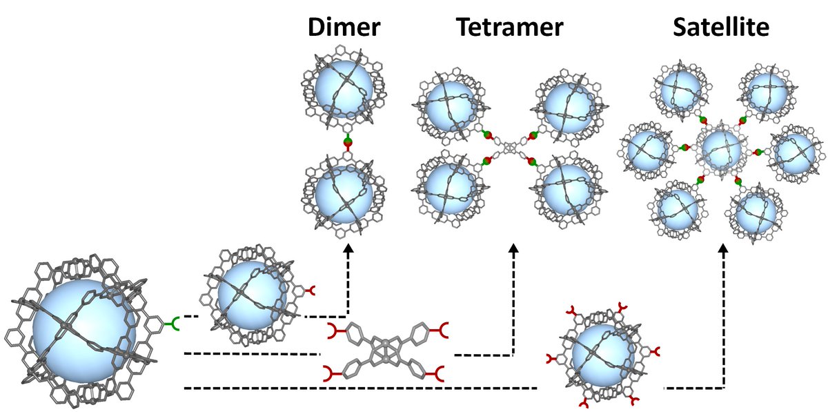 Our last @ChemicalScience shows how MOPs can be linked into giant and porous oligomeric molecules, assembled with a finite number of MOP units. Kudos to @albacortes6 and the team for her #MyFirstChemSci @icn2nano @icreacommunity @UABBarcelona Link: pubs.rsc.org/en/content/art…