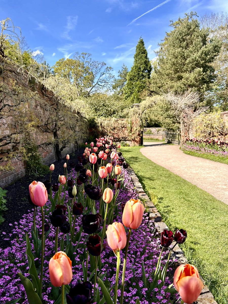 Paul Hindle tweet media