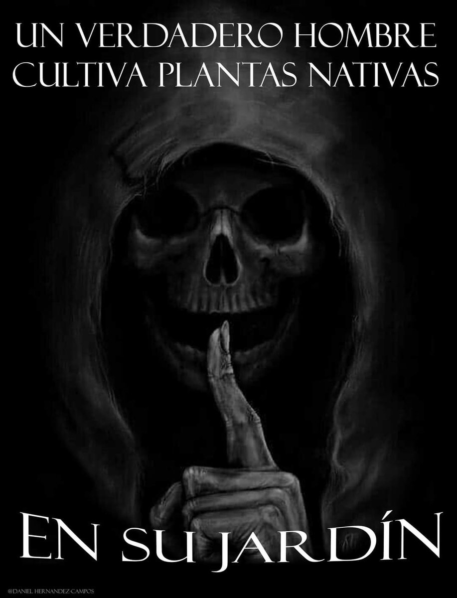 C_Ahuizotl's tweet photo. Esta será la playera definitiva. https://t.co/TfvwVTcLov