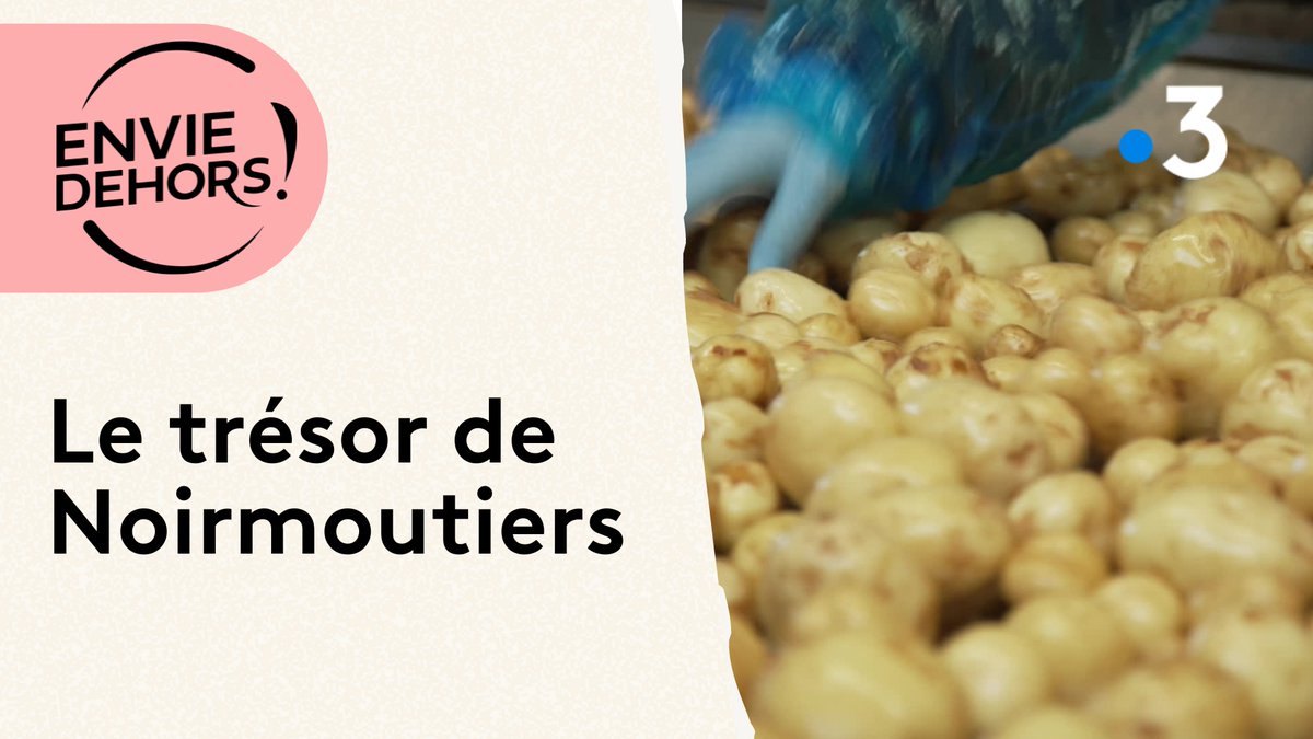 Début mai, les producteurs de Noirmoutier perpétuent la tradition ancestrale de la récolte manuelle des bonnottes. A voir dans Envier dehors le 12 mai à 12 h 55