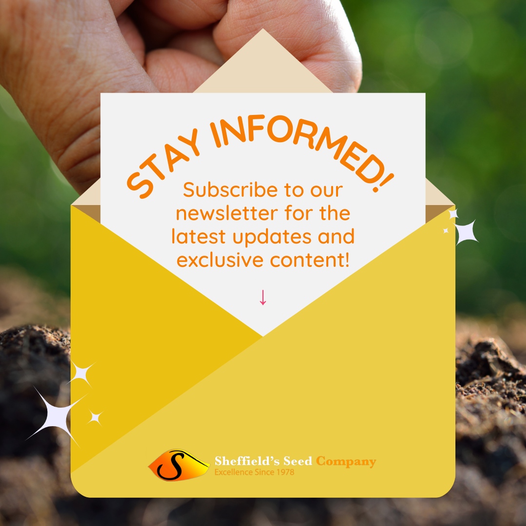 📬 Ready to take your gardening game to the next level? 🌱 Sign up for Sheffield's Seed newsletter and unlock a world of botanical wisdom! 
sheffields.com/newsletter

 #GreenThumb #GardeningTips #SubscribeNow #SeedBank #Seeds #SheffieldsSeedCo #SeedExperts #SeedCompany #GrowYourOwn
